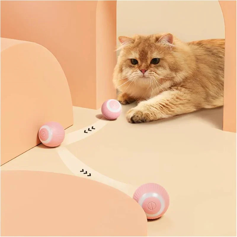 Electric Rolling Cat Toy Ball-1