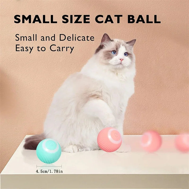 Electric Rolling Cat Toy Ball-4