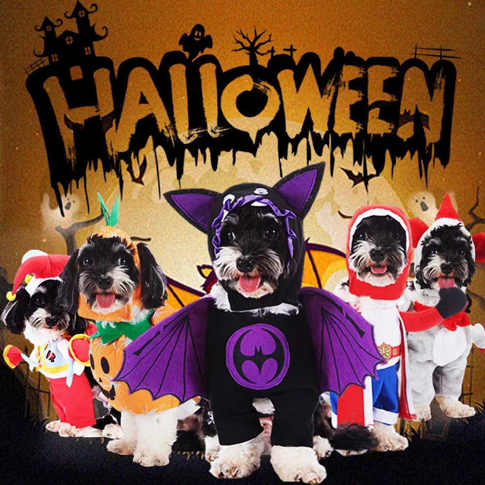 Halloween Pet Costume – Multi-Style Dress-Up Outfits