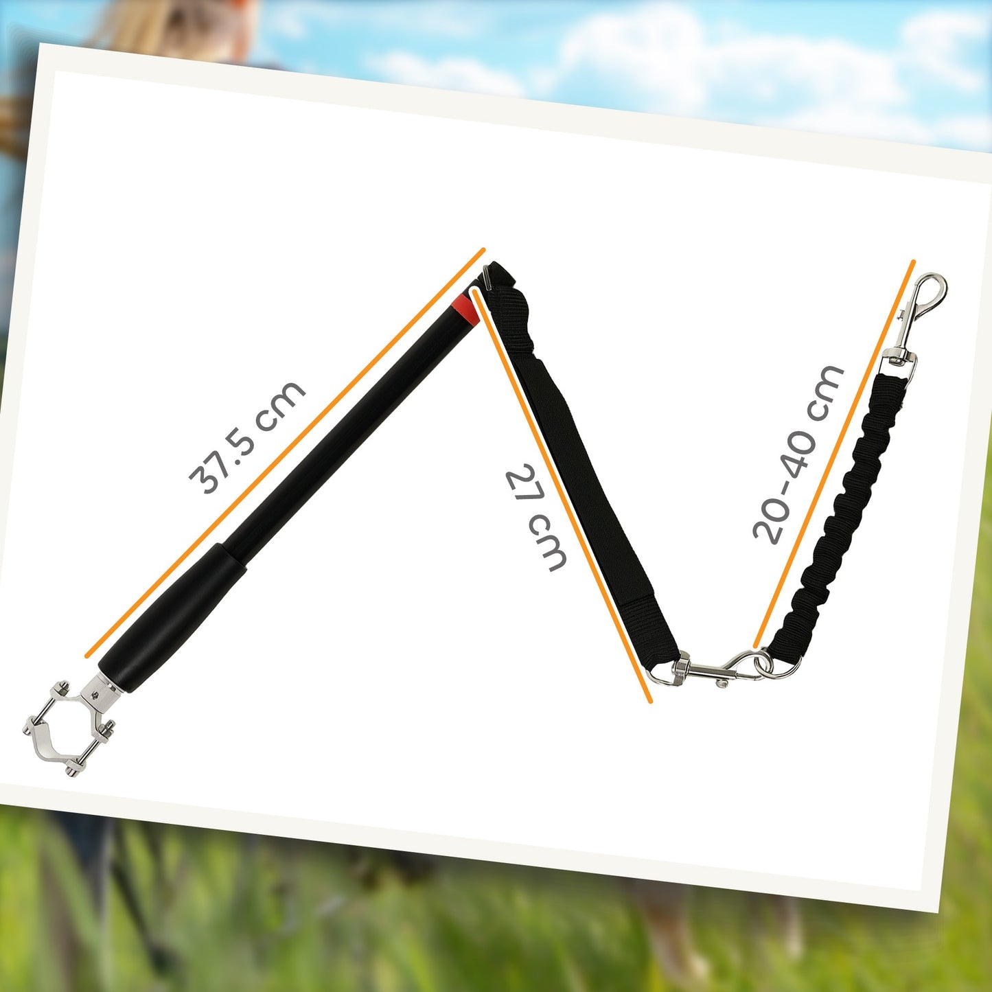 Dog Lead for Bicycle, Dog Leash for Cycling, Training, Jogging, Black-2
