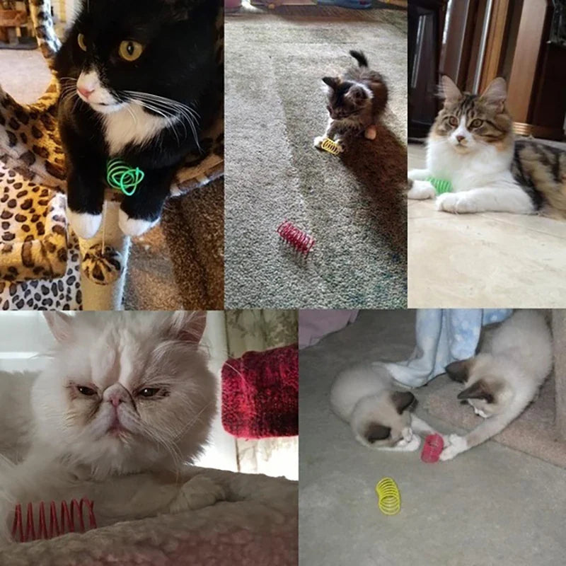 Bouncy Colorful Spring Cat Toys-4