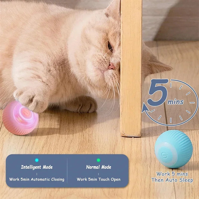 Electric Rolling Cat Toy Ball-2
