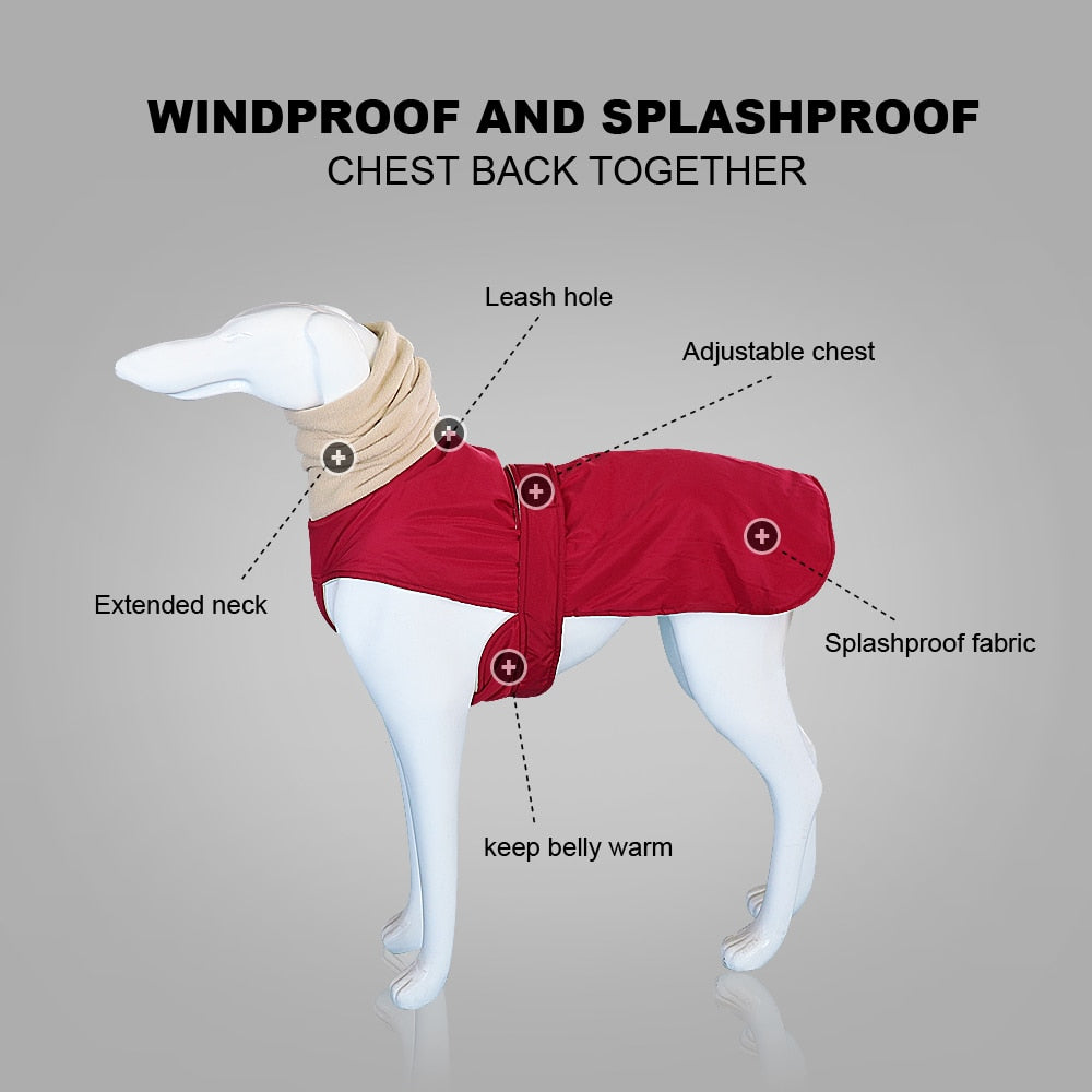 Winter Warm Dog Clothes-3