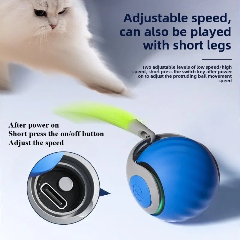 Interactive Electric Cat Toy-1