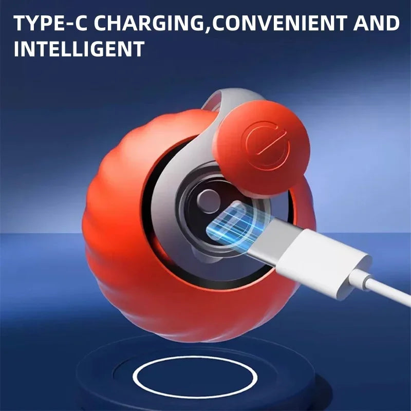 Interactive Electric Cat Toy-2