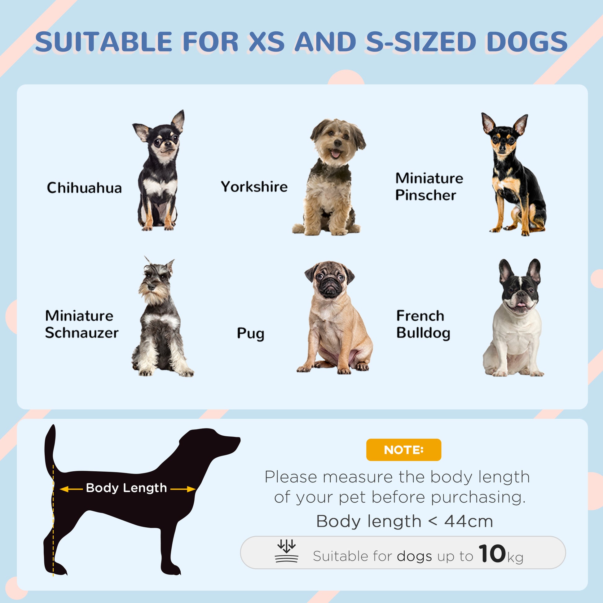 Plastic Dog Kennel with Windows, for Garden Patio, Miniature and Small Dogs, 80 x 69 x 76cm - Blue | PawHut-2