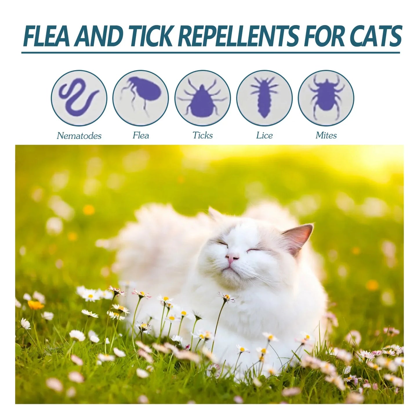 Pet Flea & Tick Killer Drops for Dogs and Cats