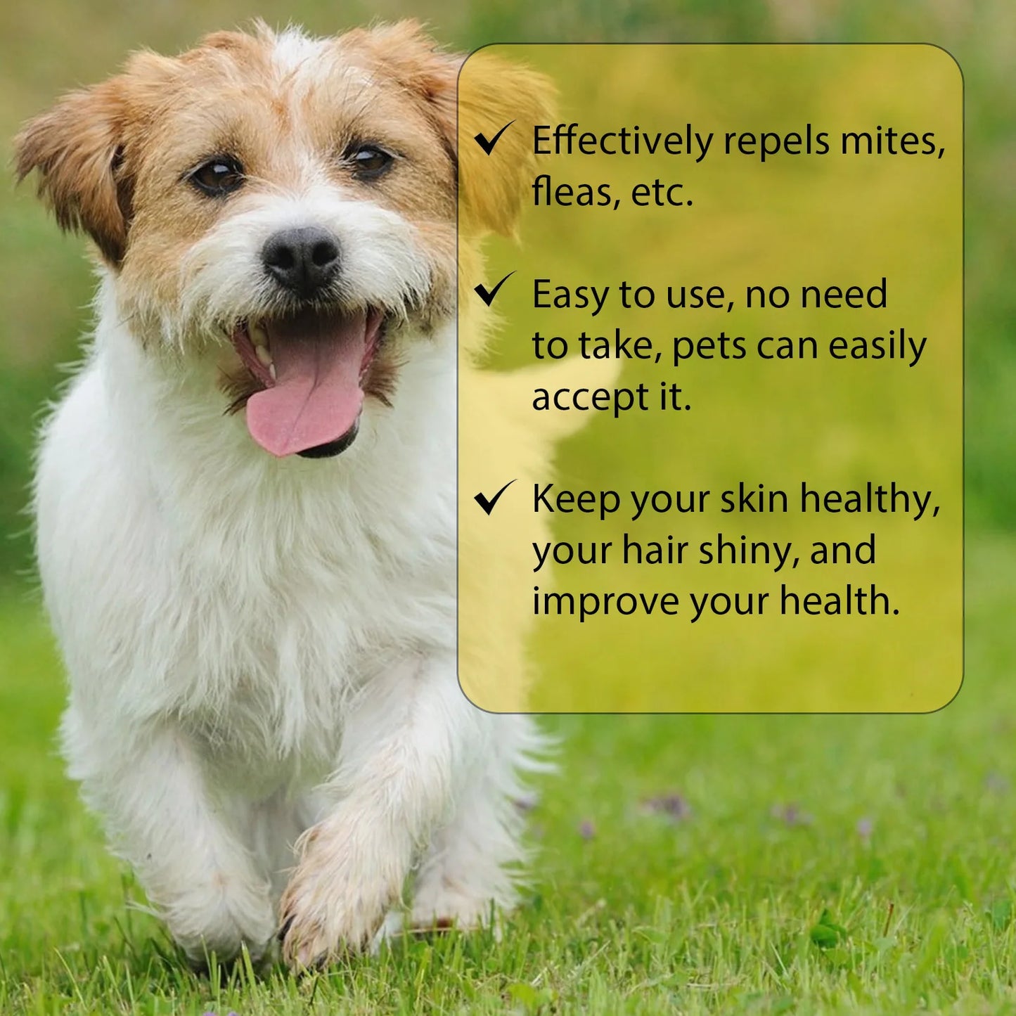 Anti-Flea & Tick Drops for Dogs and Cats