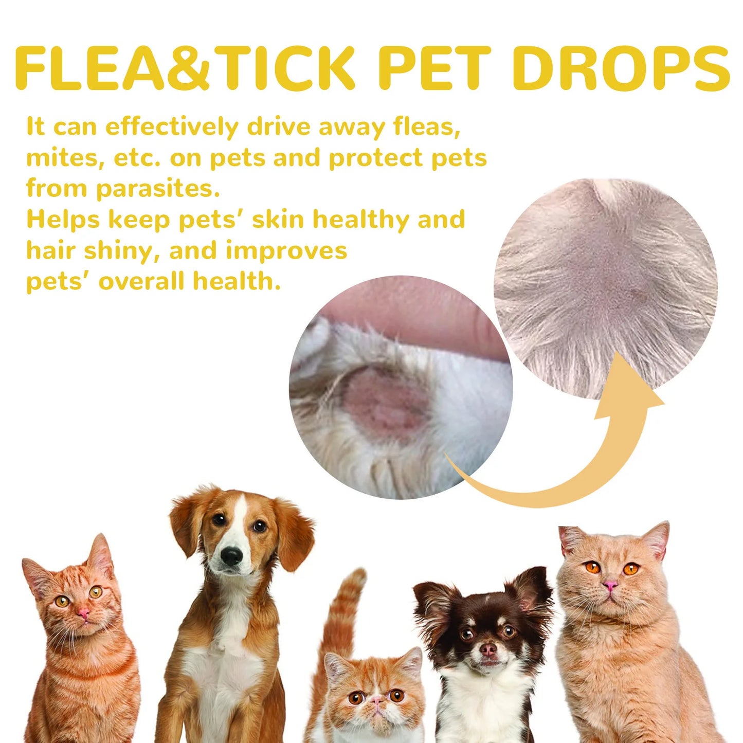 Anti-Flea & Tick Drops for Dogs and Cats