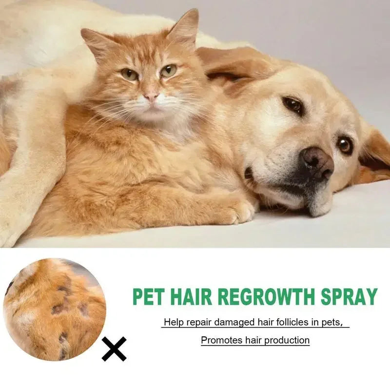 Pet Hair Regrowth Spray for Cats and Dogs - 30ml