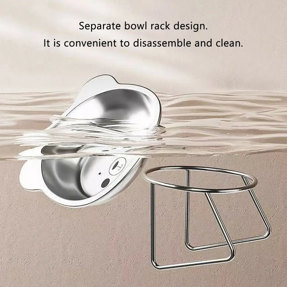 Raised Cat Bowl with 15° Tilted Neck Guard