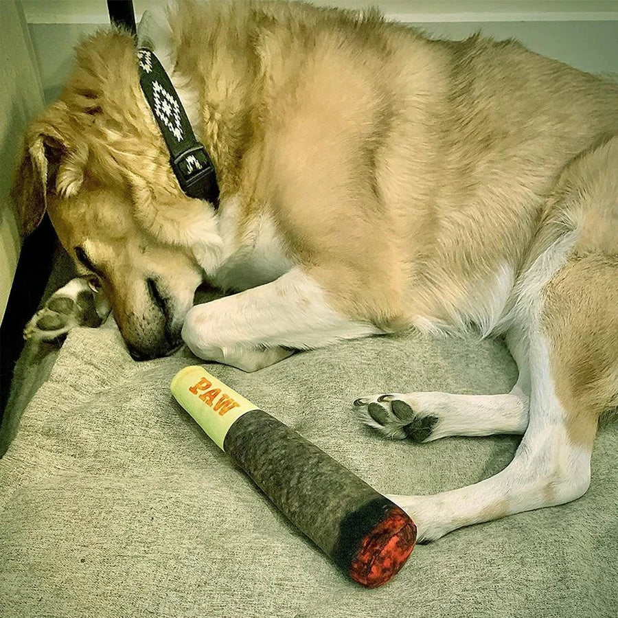 Funny Cigar Plush Dog Toy with Squeaker