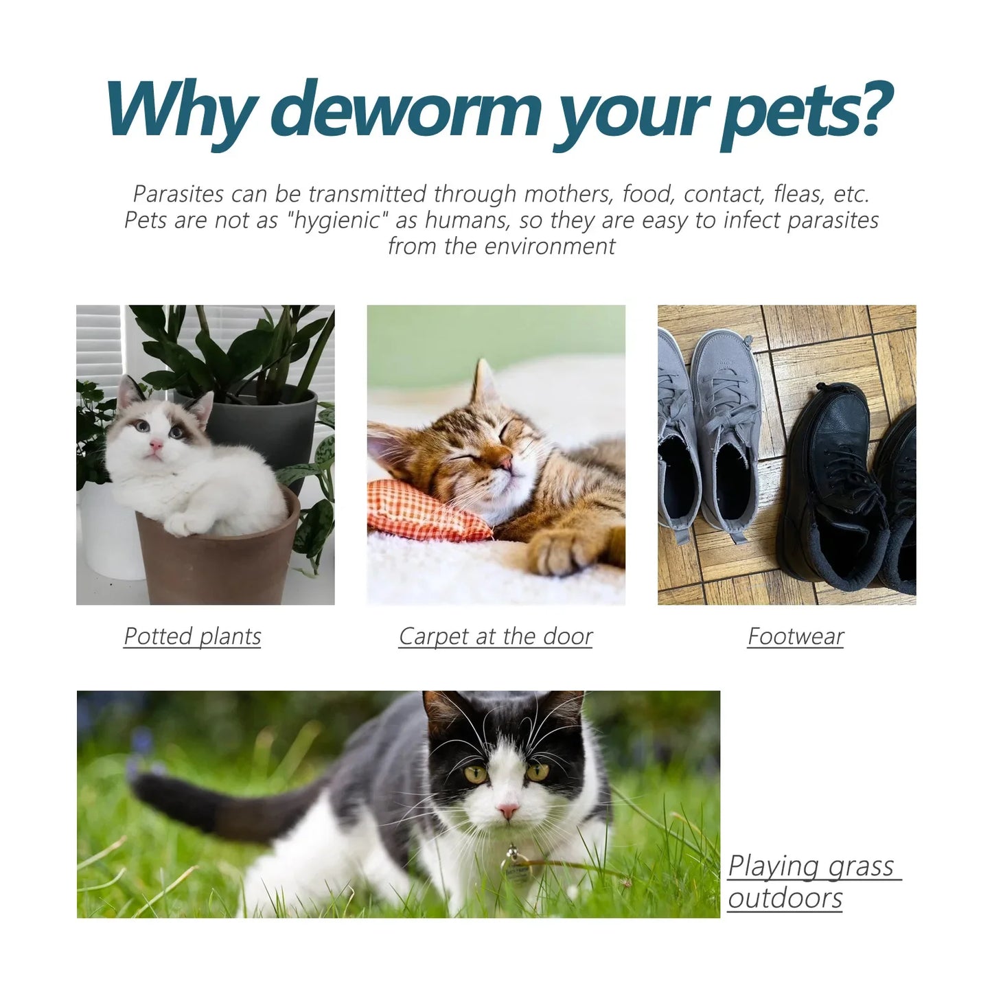 Pet Flea & Tick Killer Drops for Dogs and Cats