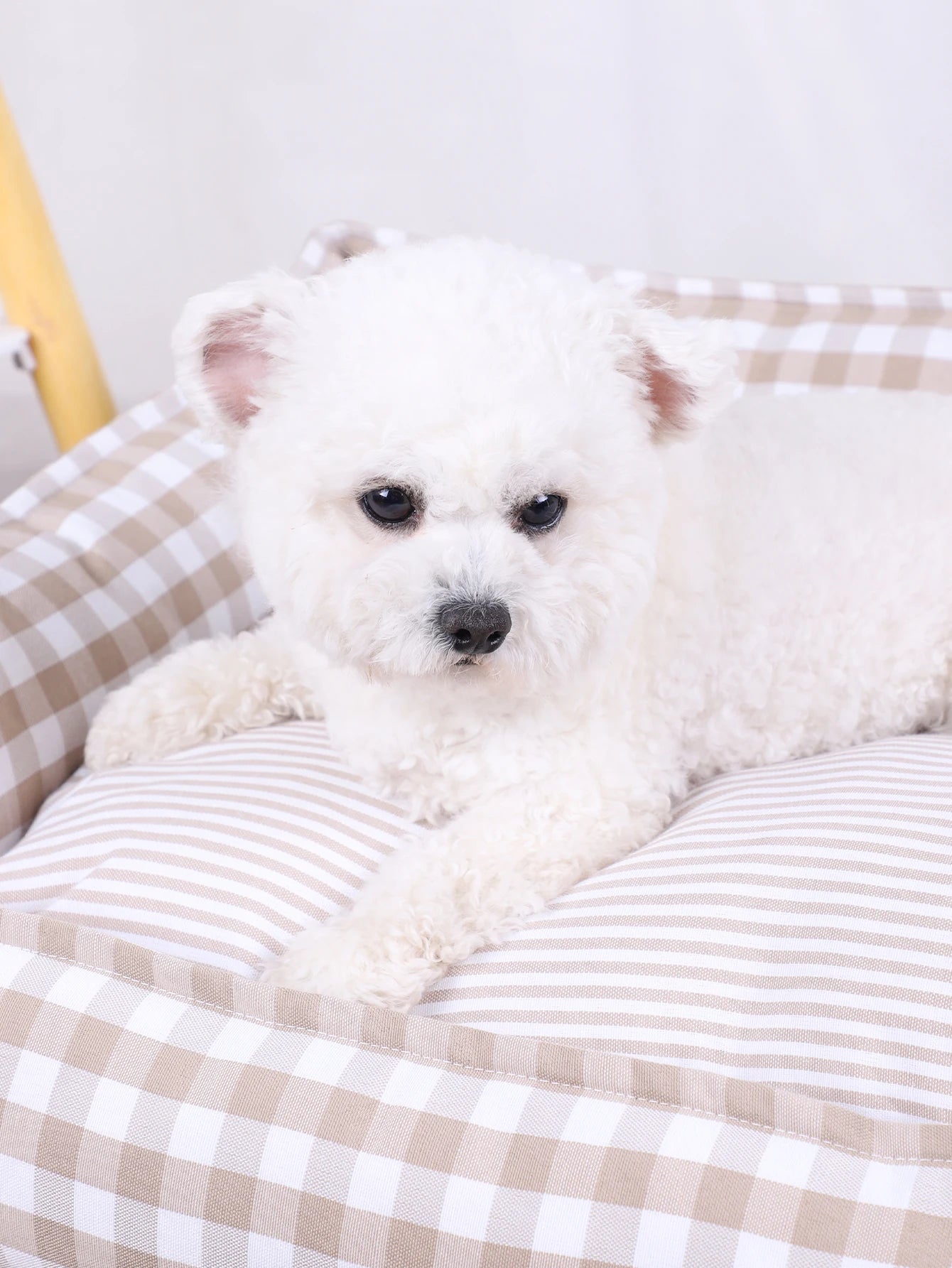 Plaid Dog Bed with Cushion