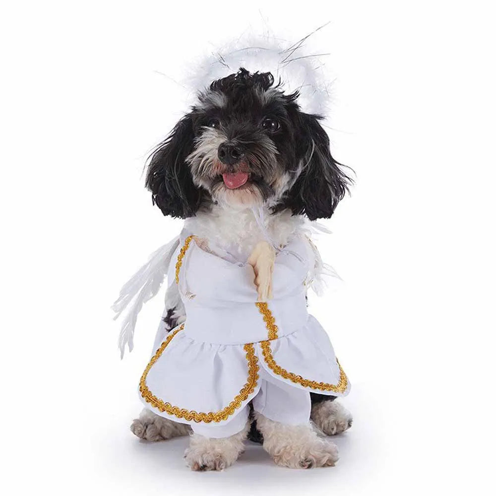 Halloween Pet Costume – Multi-Style Dress-Up Outfits