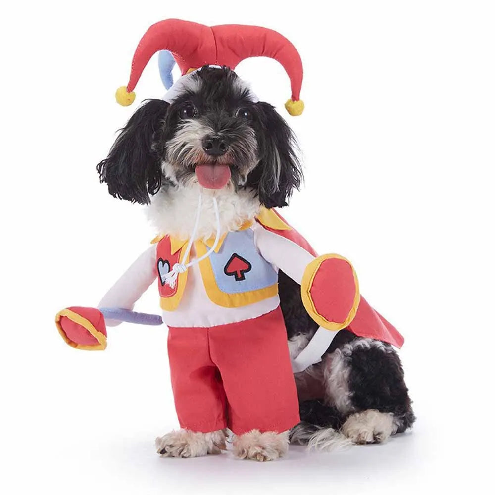 Halloween Pet Costume – Multi-Style Dress-Up Outfits