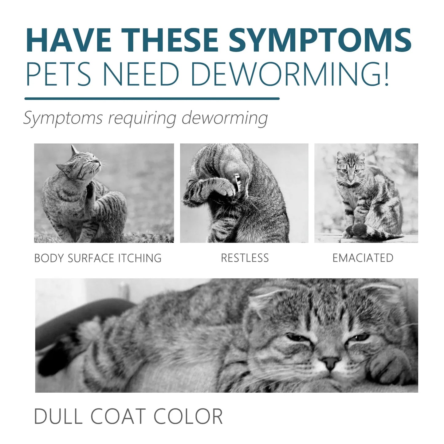 Pet Flea & Tick Killer Drops for Dogs and Cats