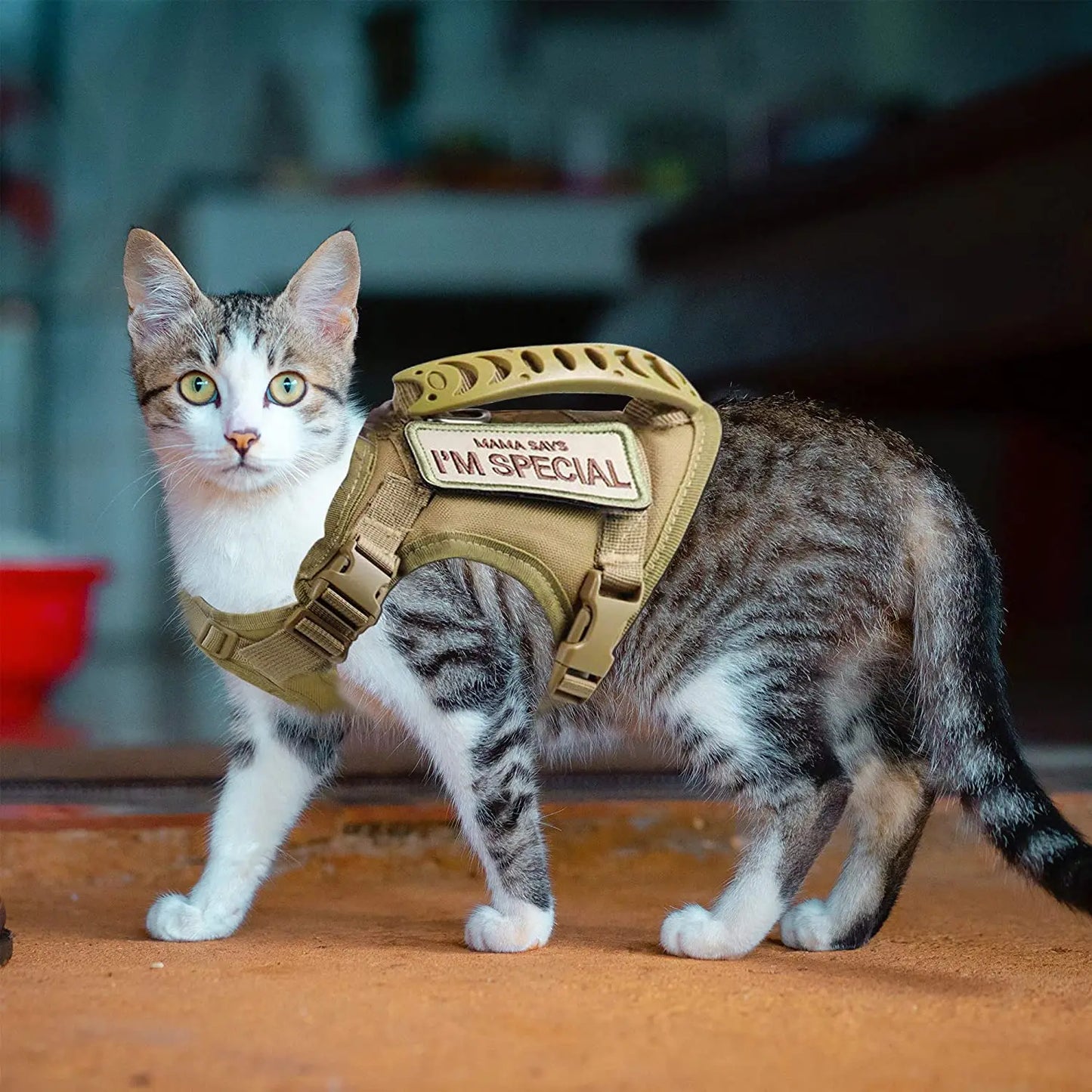 Tactical Cat & Small Dog Harness with Handle