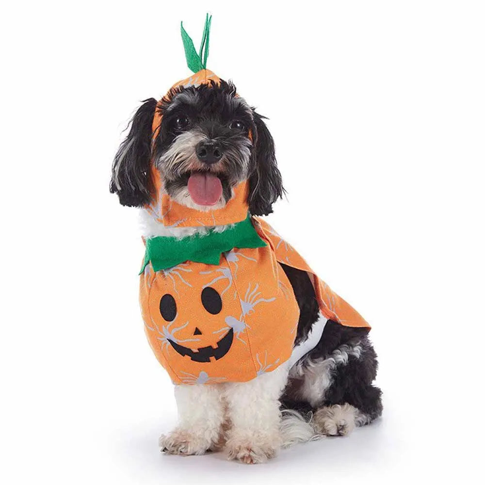 Halloween Pet Costume – Multi-Style Dress-Up Outfits