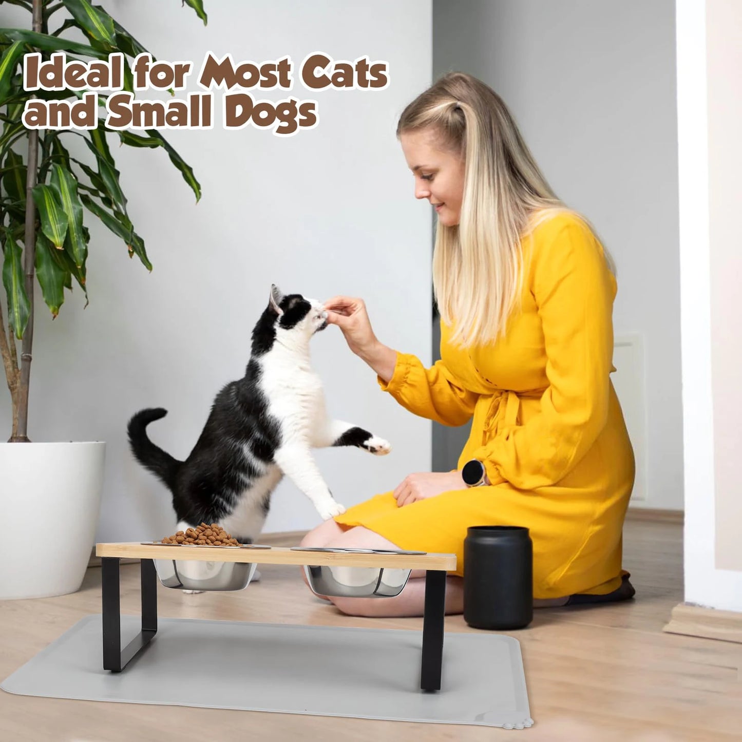Elevated Cat Bowls with Wooden Stand