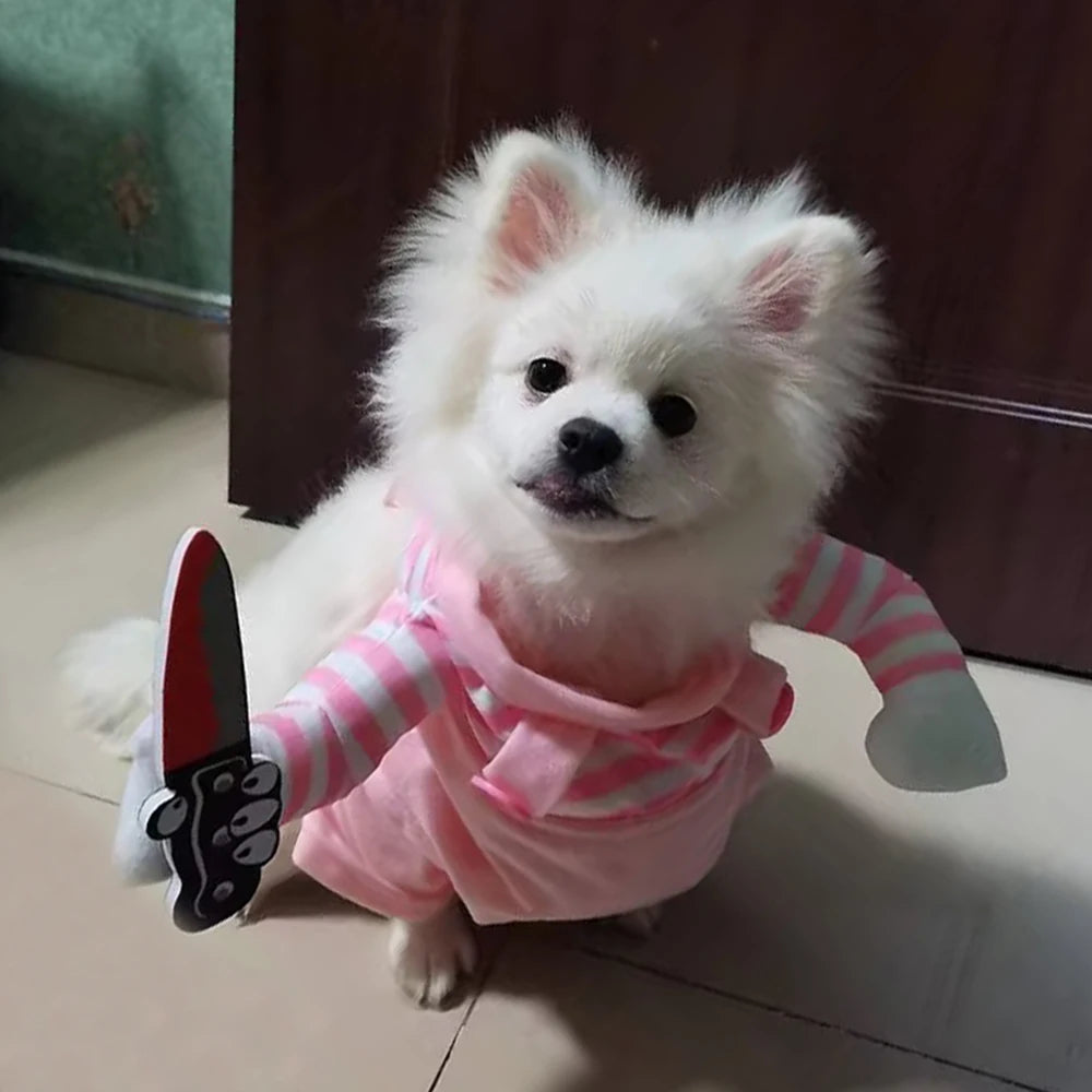 Halloween Cat Dog Costume