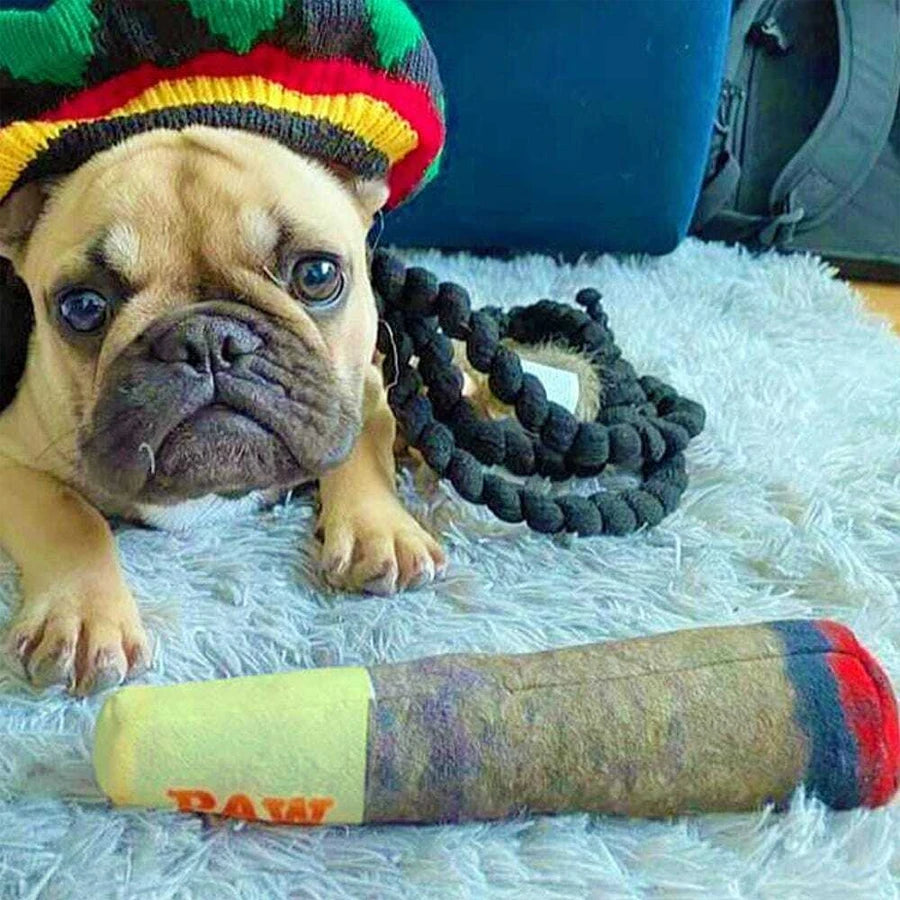 Funny Cigar Plush Dog Toy with Squeaker