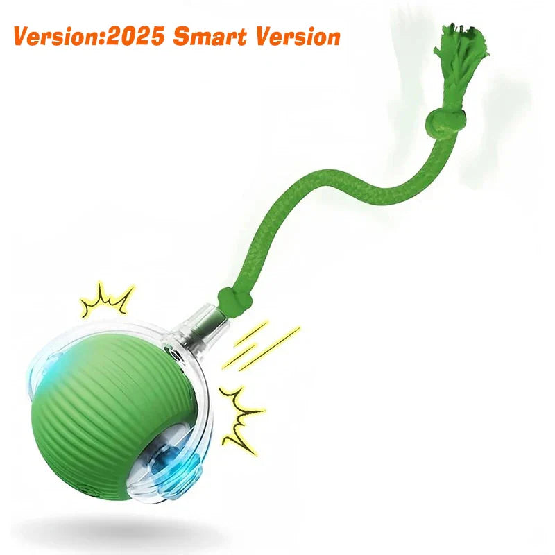 Smart Cat Toy Rechargeable Interactive Electric Car-9