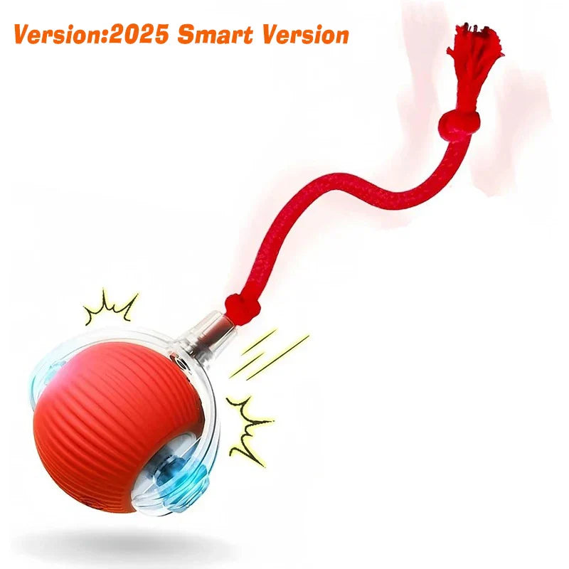 Smart Cat Toy Rechargeable Interactive Electric Car-6