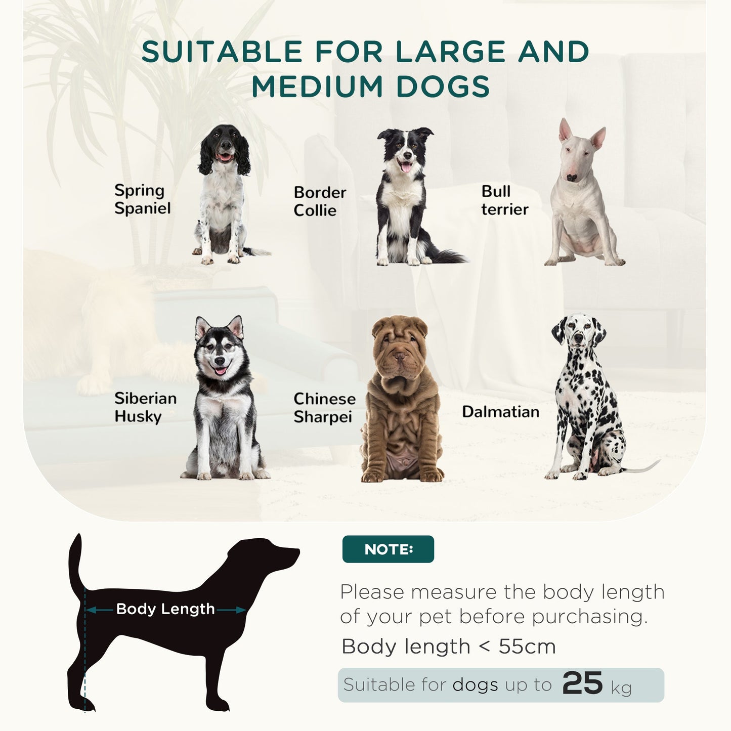 Dog Sofa with Legs Water-resistant Fabric, Pet Chair Bed for Large, Medium Dogs, Green, 100 x 62 x 32 cm-3