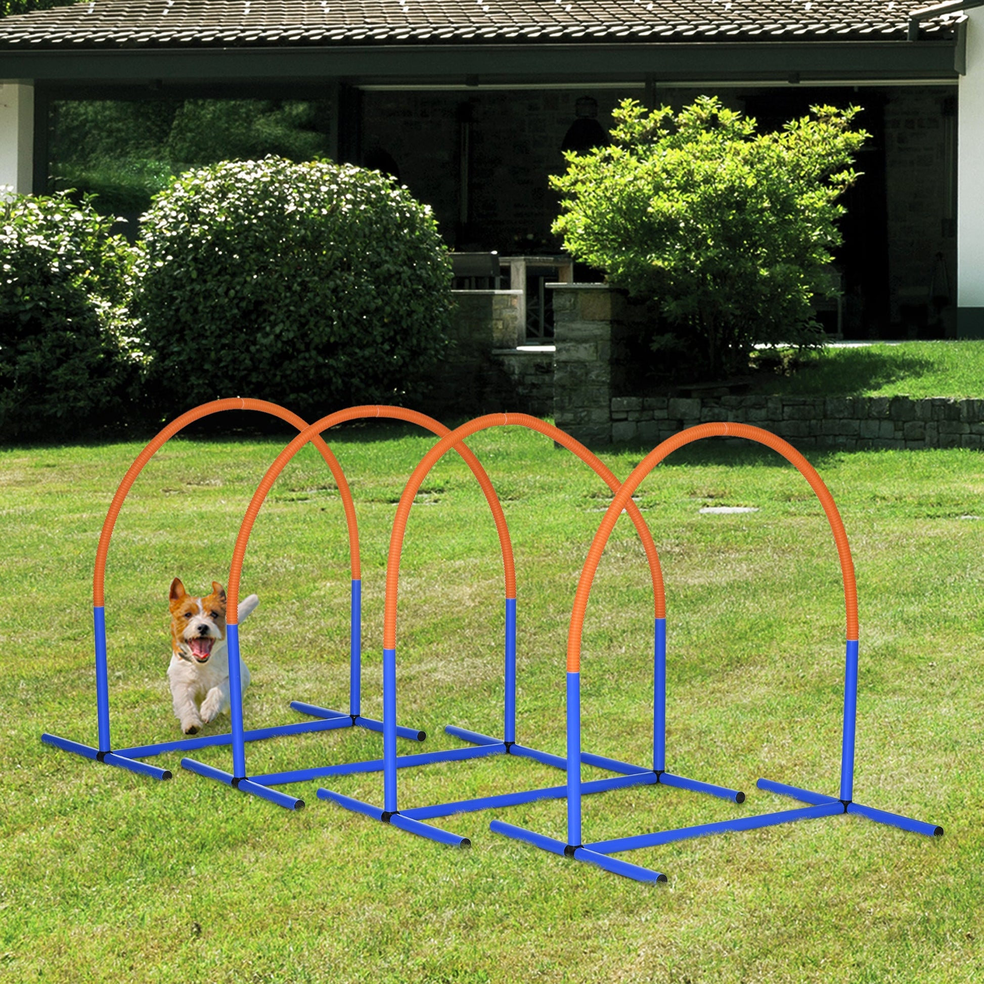 4PCs Portable Dog Agility Equipment Blue-1