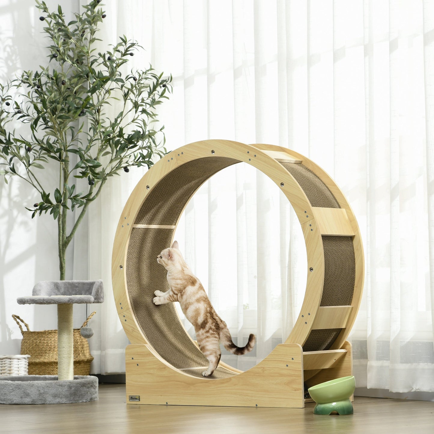 Cat Wheel with Brake, Scratching Pads - Oak Tone-1