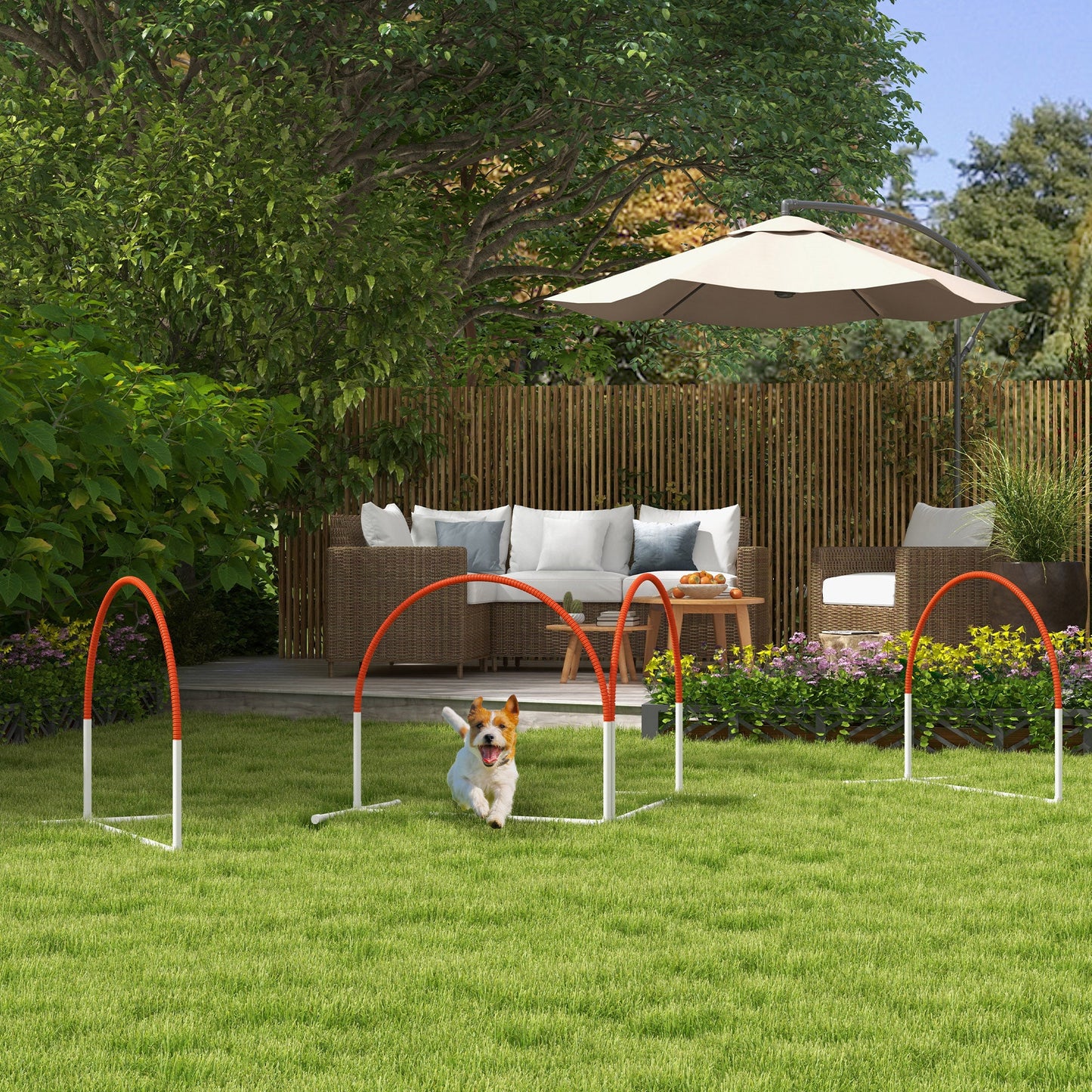 Dog Agility Equipment Set, Dog Agility Training Equipment for Dogs w/ Oxford Carry Bag, 4 PCS Weave Poles Orange-1