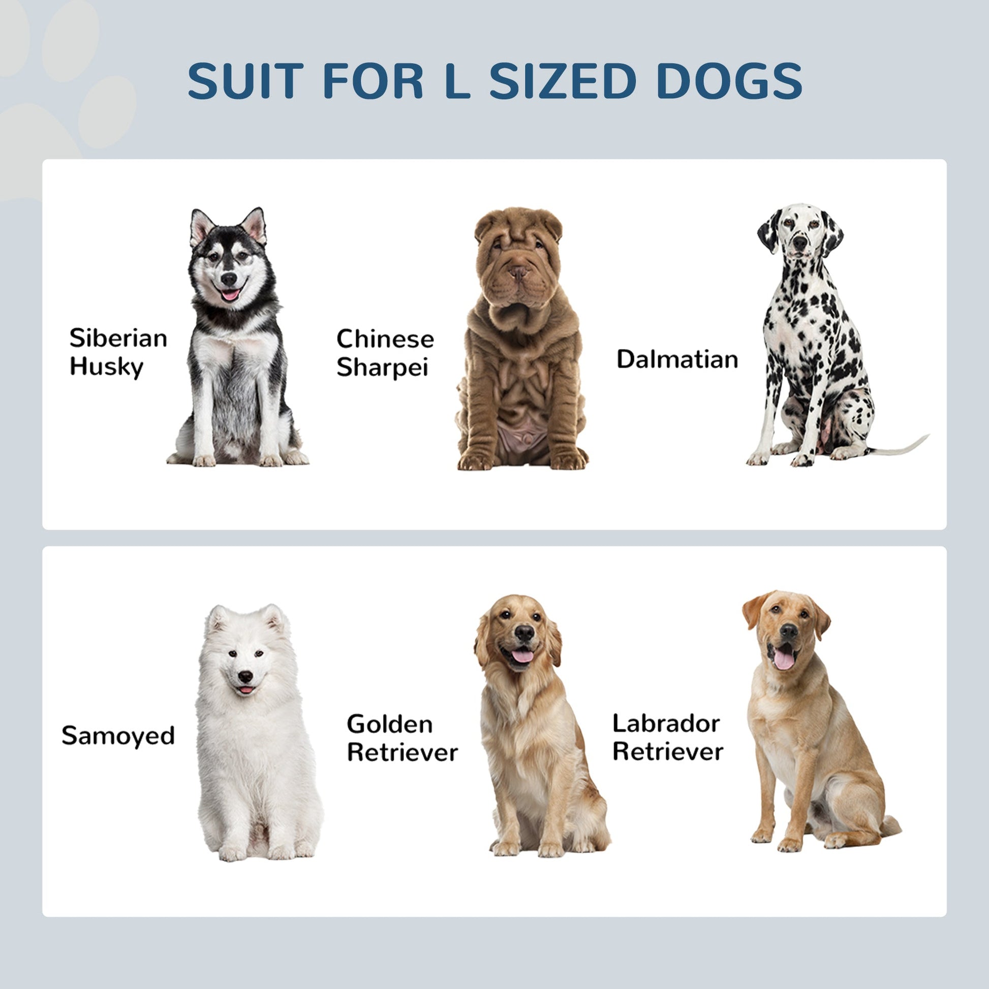 Stainless Steel Raised Dog Bowls with 21L Storage Drawer for Large Dogs and Cats - White-3